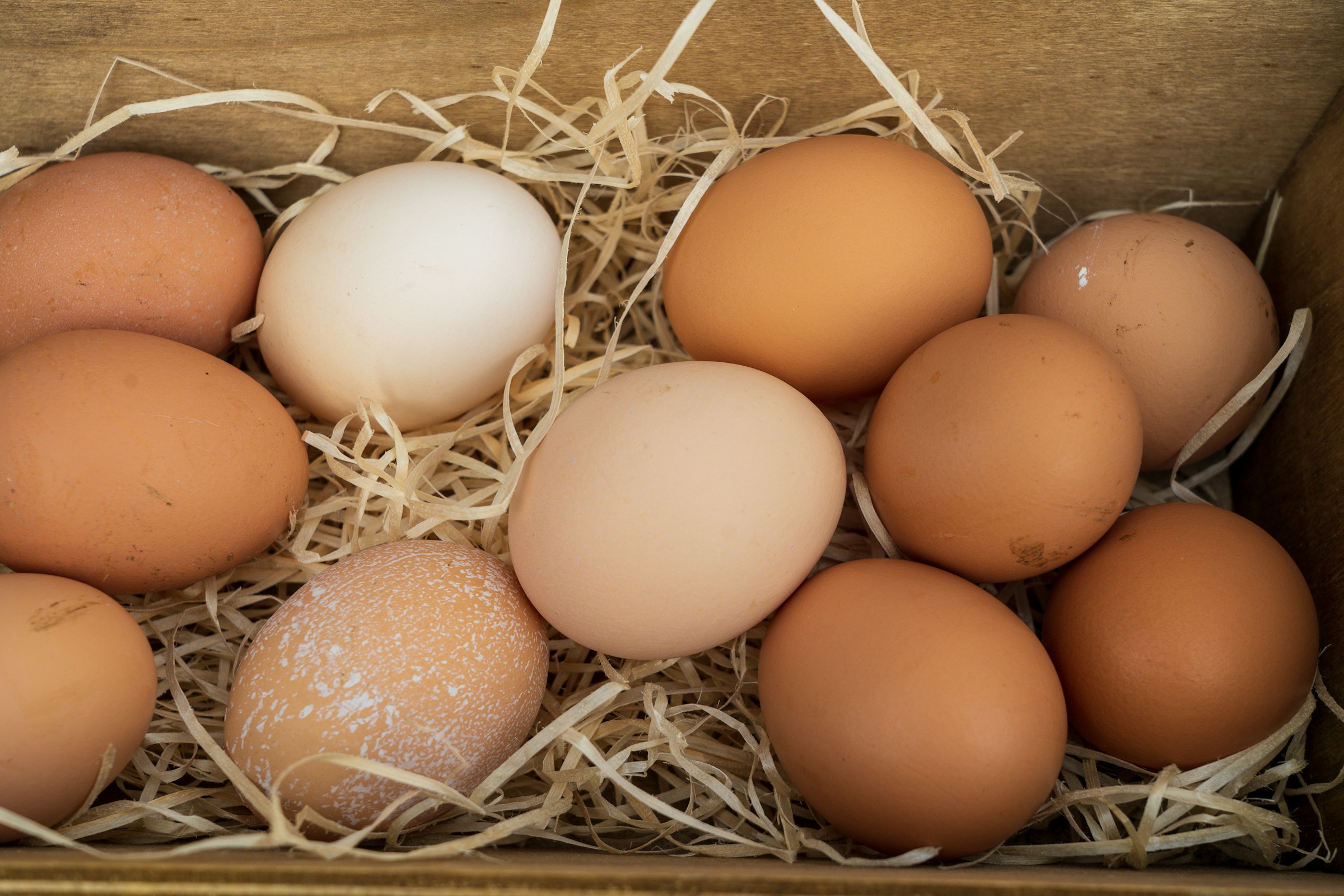 FMB Farms egg production