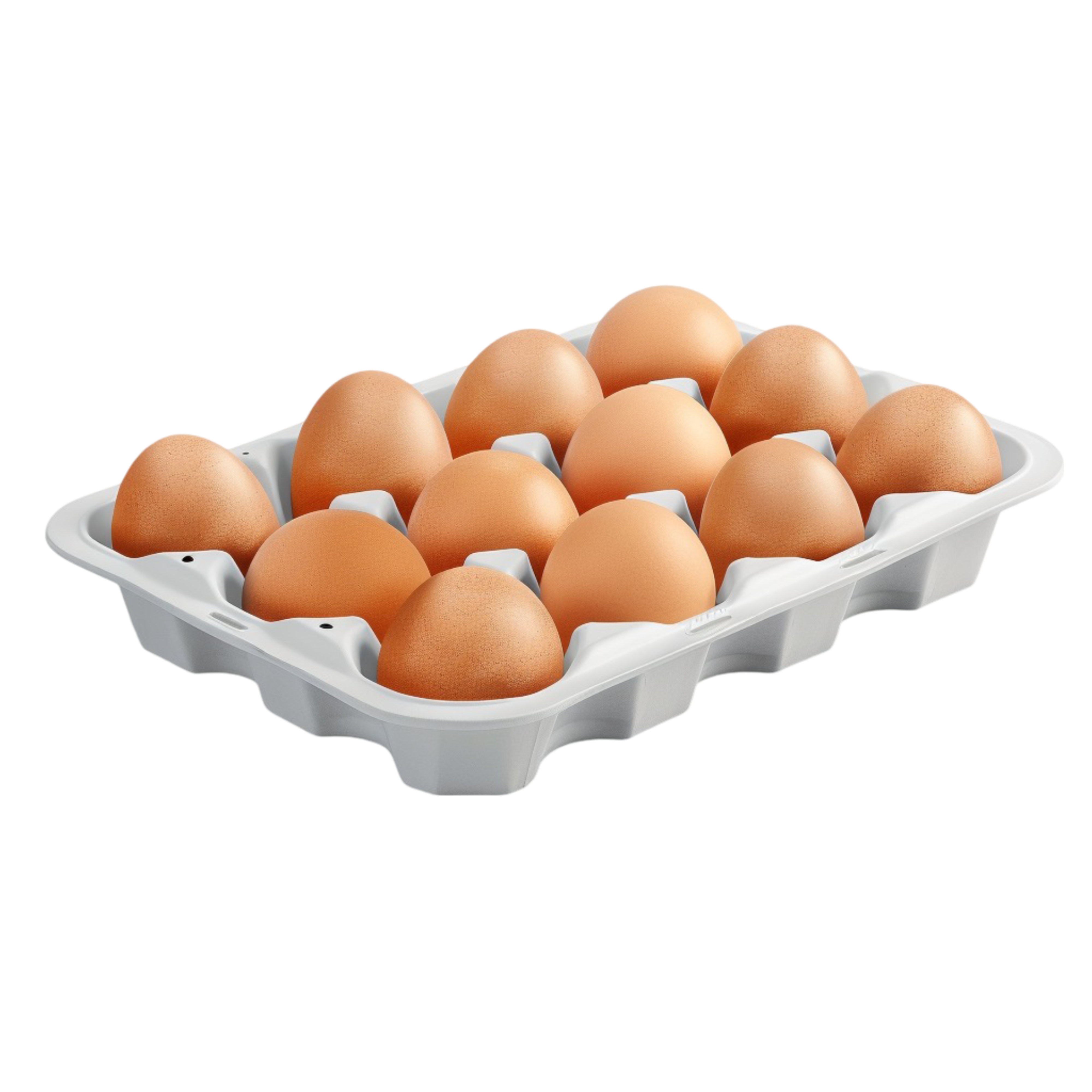 Chicken Meat